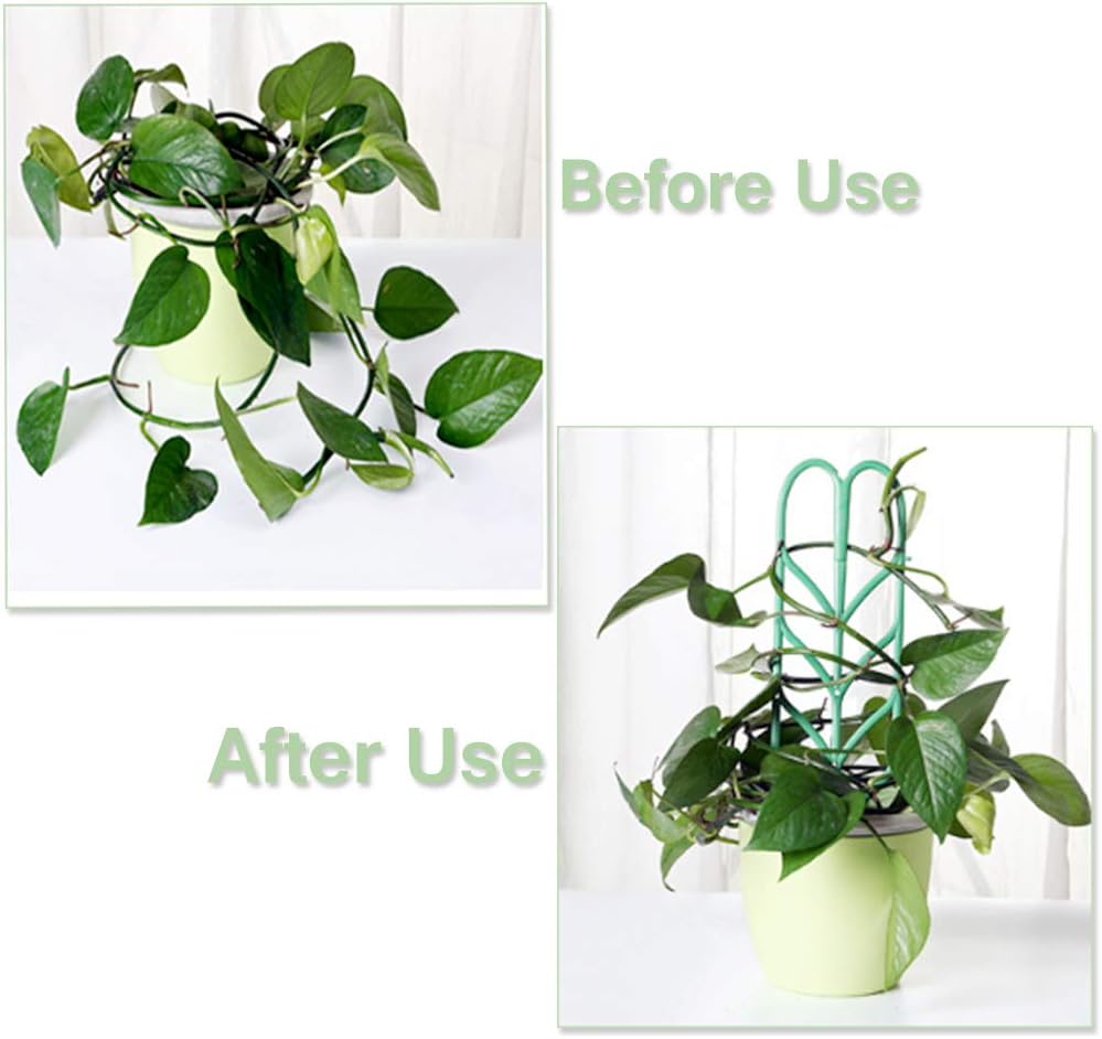 Enrejado para plantas de interior para plantas trepadoras, paquete ...