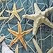 BROSHAN Beach Shower Curtains for Bathroom, Coastal Fishing Nets Seashells Conch Starfish on Wooden Board Ocean Bathroom Decor, Blue Waterproof Fabric Shower Curtain with Hooks