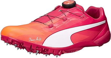 puma evospeed disc