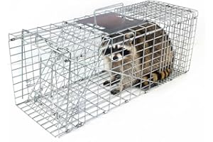 Humane Catch and Release Animal Trap, 31X11X13 Inch Large Live Animal Trap Cage Humane One-Door Solid Steel Catch and Release