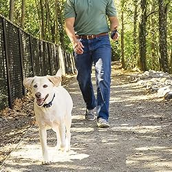 PetSafe Remote Trainer Transmitter Hand Strap
