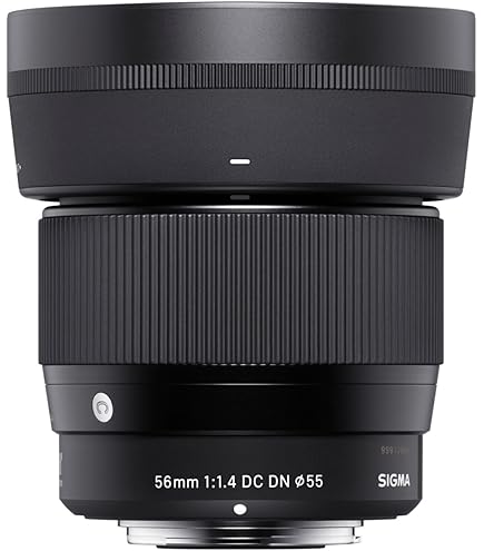 Amazon.com : Sigma 30mm F1.4 Contemporary DC DN Lens for Micro 4/3 