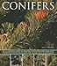 Conifers: An Illustrated Guide to Varieties, Cultivation and Care, with Step-by-Step Instructions and Over 160 Beautiful Photographs