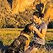 RUFFWEAR - Front Range Dog Harness, Reflective and Padded Harness for Training and Everyday, Twilight Gray (2017), Large/X-Large