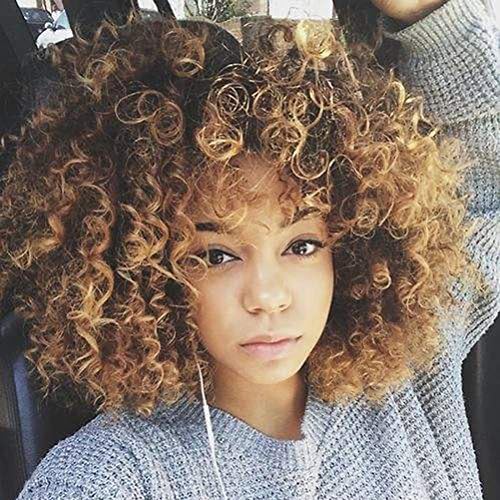 BERON Short Curly Wigs for Black Women Synthetic Wigs Blonde Mix Brown Ombre Wig Come with Wig Cap (Blonde Mix Brown)