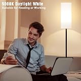 Aooshine 64 inch Floor Lamp with Remote Dimmable Color Temperature view 8