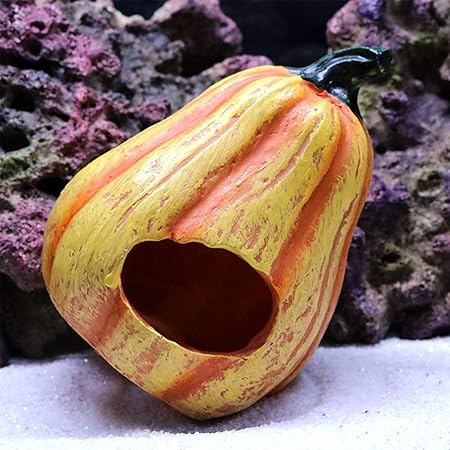 pumpkin fish tank decoration