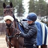 Polar H10 Heart Rate Sensor Equine with Handle Unisex Adult Black One Size view 2