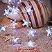 IMPRESS LIFE String Lights of Beach Theme Christmas, Starfish Decor Starry Night Lights 10ft 40LEDs with Remote and Timer for Indoor, Covered Outdoor, Camping, Nursery, Bedroom, Bathroom, Patio, Porch