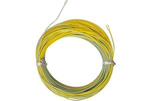 Aventik Fly Fishing Line Float Weight Forward Fly Line Fishing Trout Line Exposed Loop