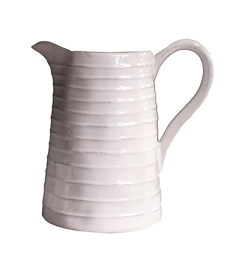 Amazon.com: Creative Dolomite – Jarra, color blanco: Kitchen ...