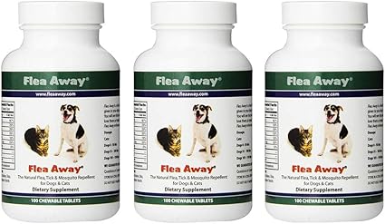 register dog to be a service dog