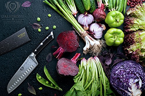 4 DALSTRONG+Santoku+Knife+Gladiator+German