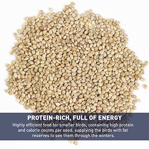 EasyGo Product White Millet Wild Bird Food 50 lb Pricepulse