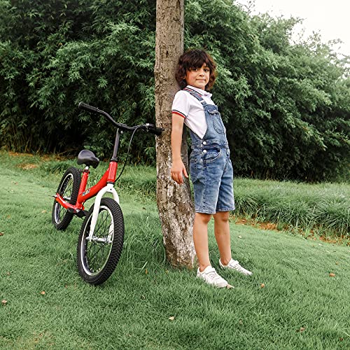 BIKEBOY Balance Bike 2 in 1,The Dual Use of a Kids Balance Bike and