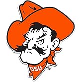 Desert Cactus Oklahoma State University Sticker Vinyl Decal Laptop Water Bottle Car Scrapbook (IND 17)