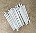 White Slate Pencils GRADE A FINE - Natural Lime Stone Chalk Pencils for Chalkboard, Fabric and Metal to Write, Sketch, Draw and Edible (Pack of 50) by Rawsimple