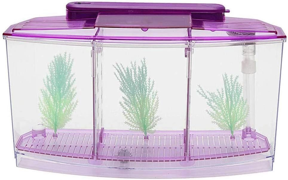 thanksgiving aquarium decorations