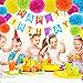 ZJHAI Set of 20 Assorted Rainbow Color Paper Pom Poms and Paper Lanterns, 5 Colors, for Party, Baby Shower and Wedding Decorations