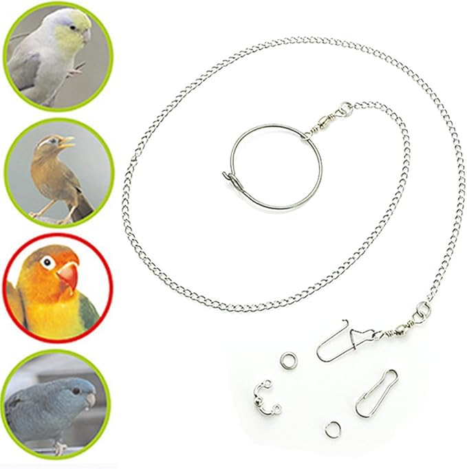 ebamaz Pet Bird Leash Parrot Foot Chain Stainless Steel 304