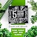 Herb Garden Starter Kit Indoor - Complete Herb Growing Kit for Kitchen Garden, Kit Includes Peat Pots, Herb Seeds, Bonus Scissors - DIY Unique Gardening Gift