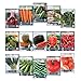 Grannys Garden Heirloom Vegetable Seed Collection - 15 Varieties Non-GMO Heirloom Beet Carrot Cucumber Basil Kale Lettuce Melon Onion Pea Pepper Squash and Tomato Seeds by Sustainable Seed Company
