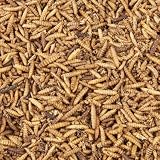 Hungry Wings Premium Wild Bird Food 5L Refill Calci Worms view 2