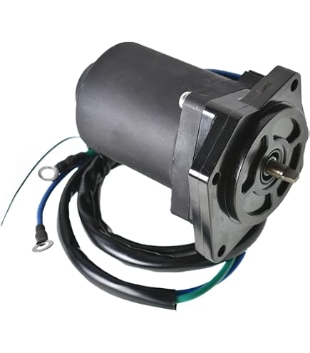 Amazon.com: OEG Parts New Tilt Trim Motor Compatible With 1990