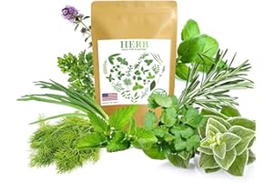 9 Culinary Herbs Seeds Variety Pack 900+ Herbs Seeds Individually Packaged Basil Cilantro Dill Mint Parsley Shallots Oregano 