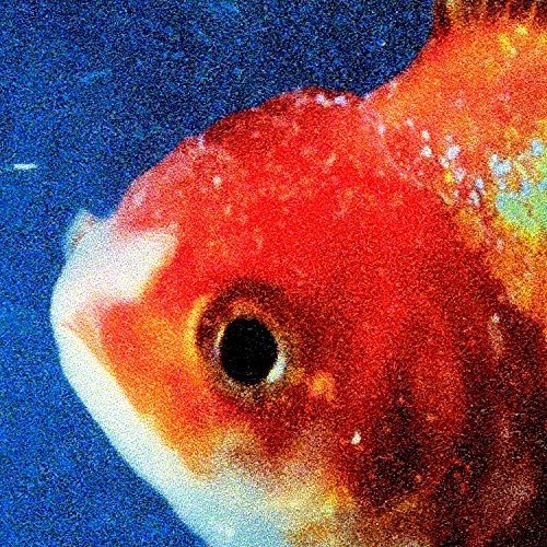 Album Art for Big Fish Theory by Vince Staples