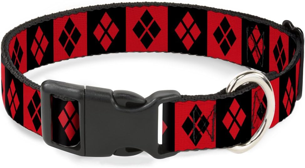 introducing a new sugar glider