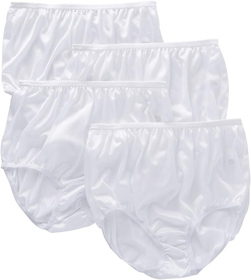 Teri Women's Full Cut Nylon Brief Panty - 4 Pack 331