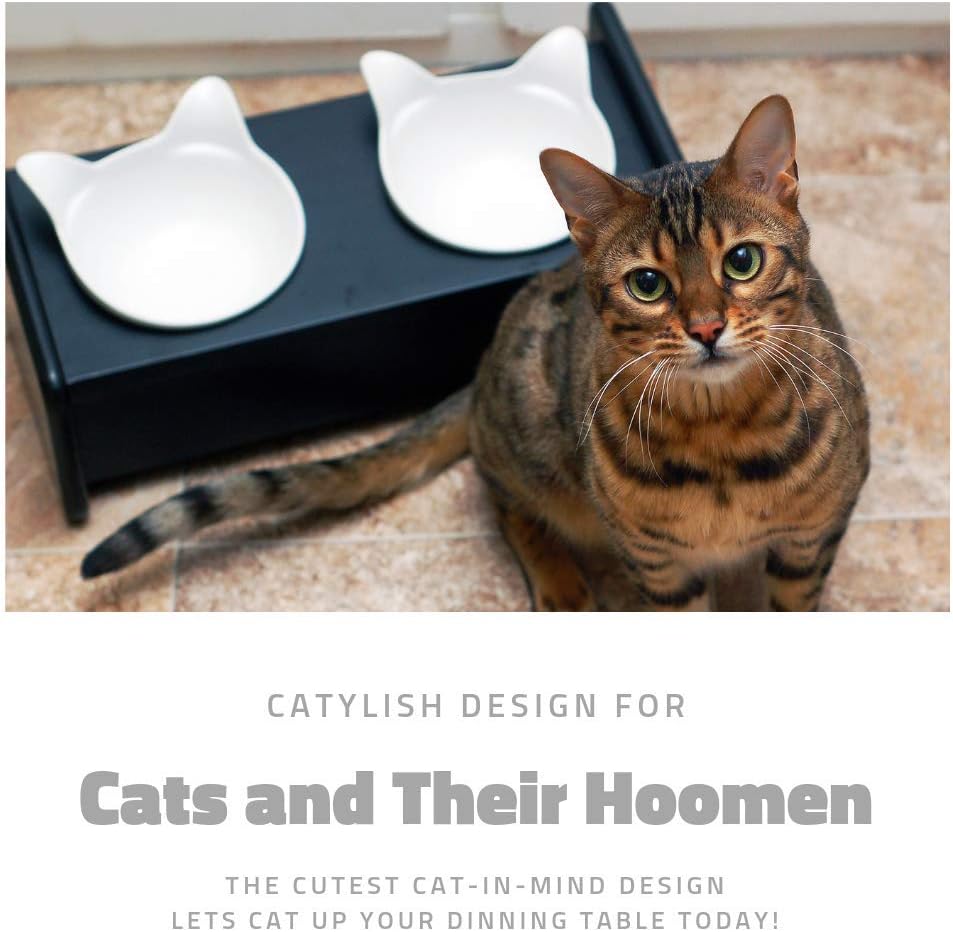 vivipet mykonos elevated cat feeder