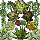 SEEKO Artificial Succulents - 14 Pack - Create Realistic Succulent Arrangements, Faux Potted Succulent Decor, and Fake Succulent Planters for Your House or Apartment