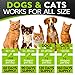 8 in 1 Dewormer for Dogs & Cats - Kills & Prevent Tapeworms - Roundworms - Hookworms - Whipworms - Natural Broad-Spectrum Formula - Senior Pets Puppy, Kitten - Supports Any Breed - Made in USA