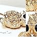 Z-Jeris Fashion Jewelry Full Rhinestone Owl Long Chain Pendant Necklace 2 Colors (Gold)