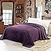 Shilucheng Goose Feathers Down Comforter, Soft 600TC Cotton Fabric, 850 Fill Power All Season Duvet Insert, Hotel Quality Comforter, Fluffy and Cozy (Purple, 91