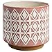 Amazon Brand - Rivet Geometric Ceramic Cylindrical Planter, 8.6