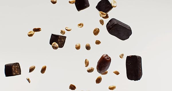 SIMPLY GUM, SALTED PEANUT DARK CHOCOLATE DATE BARS, 4.5 OUNCE