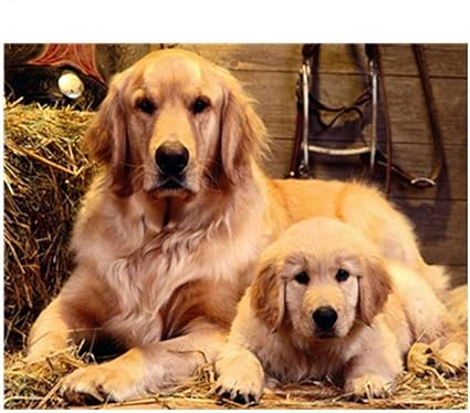 wallpapers Cross Stitch Numbers Large amazon de