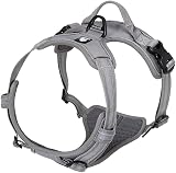 Truelove TLH5651 Dog Harness No-Pull Reflective Stitching Gray Large