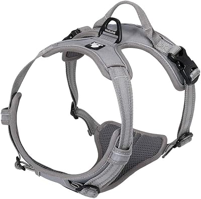 Truelove TLH5651 Dog Harness No-Pull Reflective Stitching Gray Large
