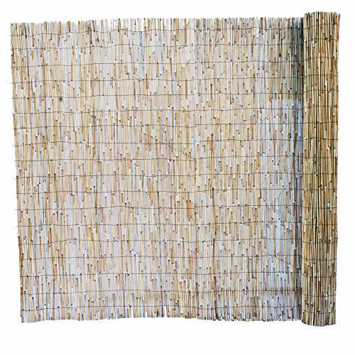 FOREVER BAMBOO Jumbo Reed Bamboo Screen Fencing Privacy Fence Backyard