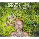 Chapter Of The Forest