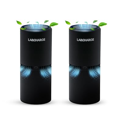 LabCharge Small Ionic Air Purifier for Home & Bedroom – Silent HEPA Filter – Covers 250 Sq Ft - Free Cleaner for Pets, Hair, Smoke, Dust, Odors & Dander – Compact & Black Design - Pack of 2