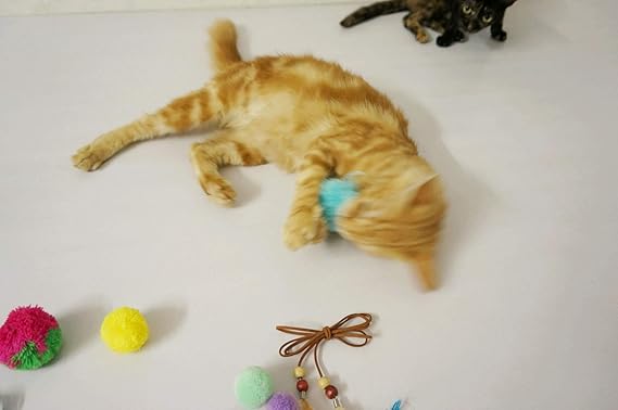 Amazon 猫 ボール 猫 おもちゃ 猫じゃらし 羽のおもちゃ 交換用 猫用品 知育玩具 安全素材 犬 噛むおもちゃ 犬 猫遊び用 運動不足やストレス解消 手作り 生態や自然綿 毛糸ボール8個 羽のおもちゃ4羽 夏祭り Petit Moxa ボール 通販