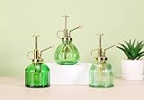 Eidoct Green Gold Glass Plant Mister Spray Bottle 7 Oz 6.5" Top Pump view 6