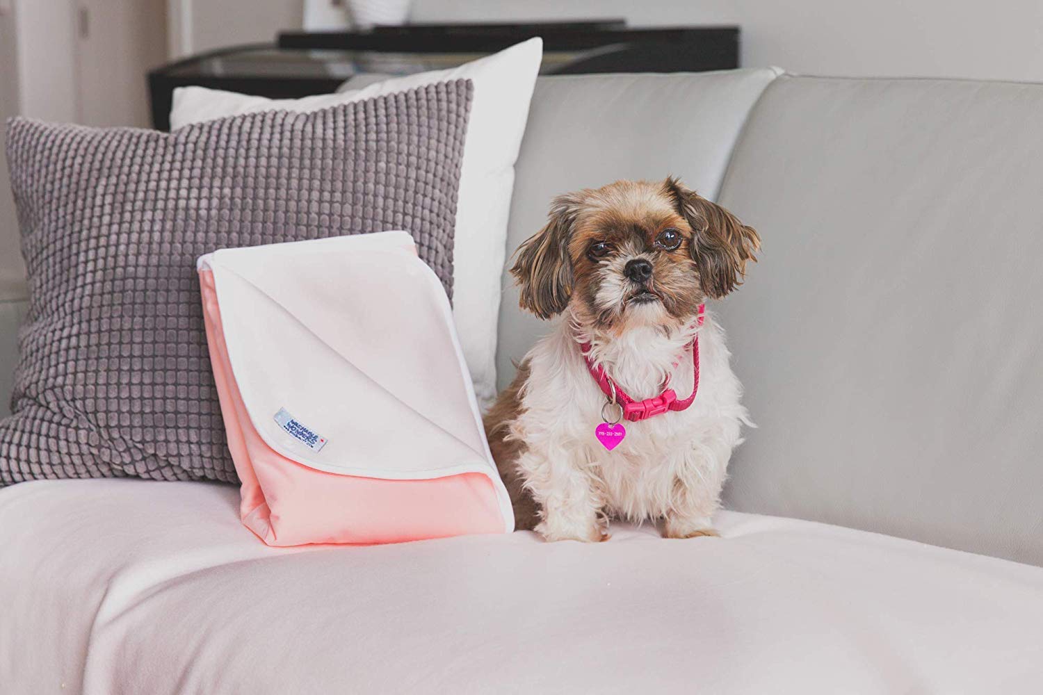 dog incontinence blanket