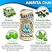 Tealixir Herbal Kombucha Tea - Amrita Chai - Inspired By Ayurvedic Medicine, This Herbal Tonic Features Ashwagandha, Brahmi and Gotu Kola With Traditional Chai Spices, Probiotic, Vegan, 12 Pack