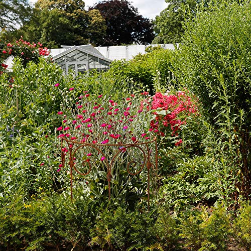 Gerry Staudenhalter Durchmesser Strauchhalter Staudenbinder rund Rankhilfe Stütze Pflanzen Metall Eisen Rost Deko (40cm) – Bild 5